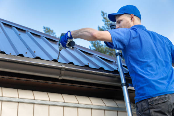 Best Asphalt Shingle Roofing  in El Portal, FL
